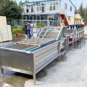 เครื่องล้างผลไม้ขนาดเล็กเครื่องล้างผลไม้ขนาดเล็กระบบโอโซนถังคู่ทำจากสเตนเลสสตีล304 - Product Image 5