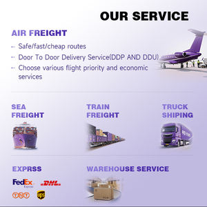 전문 해상 운송 항공 운송 중국 화물 운송업체 중국에서 영국 유럽 DDP 미국 아마존 FBA 물류 서비스 - Product Image 5