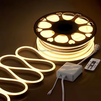 Bande LED AC110V 220V IP20 IP65 nominale bande lumineuse au néon avec contrôle Bluetooth pour centres commerciaux décoration de la maison