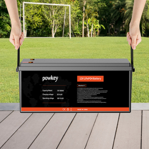 RV/ゴルフカート/電動ボート/太陽エネルギー貯蔵システム用の大容量12.8V 300Ahディープサイクルリチウム電池 - Product Image 1