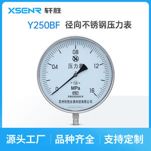 Manómetro de Acero Inoxidable Suzhou Xuansheng Y200 de 250 mm, Precisión 1.6, Conexión Roscada para Calderas de Vapor - Product Image 3