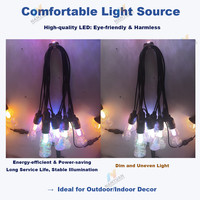 Guirlandes lumineuses LED résistantes aux intempéries, longueur et prise personnalisables, lumières de patio incassables