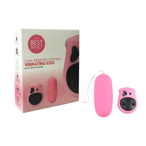 Kleine Compacte Krachtige 10 Modi Stille Waterdichte Siliconen Afstandsbediening Liefde Ei Vibrator Voor Vrouwen Roze Zwart - Product Image 6