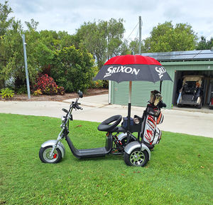 Citycoco Ship, <span class=keywords><strong>Scooter</strong></span> Eléctrico de 3 Ruedas, Triciclo de Golf con GPS, Plegable, Impermeable, Motor de 2000W - Product Image 3