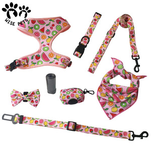 Terbaru diinginkan poliester dapat disesuaikan peliharaan indah <span class=keywords><strong>Harness</strong></span> dicetak dasi kupu-kupu kerah anjing dan Set tali jala bernapas rompi anjing - Product Image 5