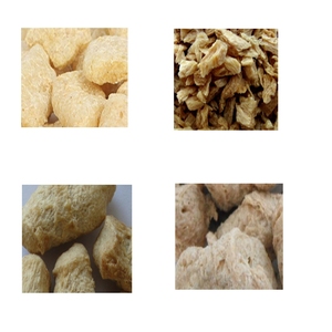 Máy Làm Thực Phẩm Đậu Nành Nuggets Quy Trình Sản Xuất Protein Đậu Nành Bóng Thuần Chay - Product Image 5