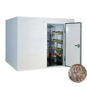 Cold Storage Room with Refrigeration Equipment and Cold Room Door