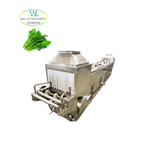 Aangepaste Shaoxing Walley industriële lager roestvrijstalen 304 groentekleurbescherming spinaziekoelmachine commercieel