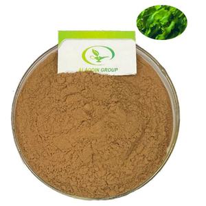 Extracto de Algas Marinas Soluble en Agua HALAL al Mejor Precio - Product Image 1