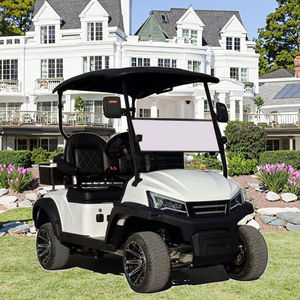Carrito de golf eléctrico mini de 48 V al por mayor, 2 plazas, vehículo eléctrico automático, marca de carrito eléctrico personalizable para caminos no públicos - Product Image 2