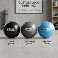 Pelota de Ejercicio de PVC Antiexplosión, Suave, Gruesa y Lisa de 25 cm para Pilates, Gimnasio y Fisioterapia
