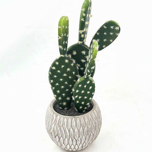 Decoración de mesa para el hogar y la Oficina, Mini bonsái Artificial verde, maceta pequeña, plantas de Cactus suculentas falsas - Product Image 5