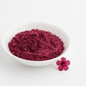 Poudre d'hibiscus traditionnelle Rosa Sinensis pour les applications de coloration capillaire à base de henné - Product Image 3