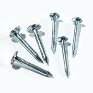 2" galvanized Q195 Q235 steel felt clout nails linoleum nails