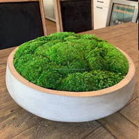 Offre Spéciale : Fleurs Décoratives, Mousse Naturelle, Herbe Séchée Verte, Accessoires DIY Préservés, Ornement de Mariage, Décoration de Jardin, Artisanat