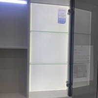 WJL Meuble-lavabo mural moderne au design flottant avec miroir, profil en aluminium et acier inoxydable pour salle de bain