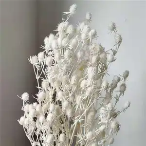 Amazon vendita calda di alta qualità Bouquet di fiori secchi regalo decorazione della casa fiore stabilizzato Eryngium White Sea Holly