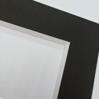 Vente en gros de tapis pour cadre photo personnalisé Panneau de montage en papier pour encadreurs