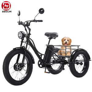 Bicicletta <span class=keywords><strong>Elettrica</strong></span> <span class=keywords><strong>Cargo</strong></span> da 20 Pollici, 36V 250W, a 2 Ruote, Non Pieghevole, per Consegna Cibo - Product Image 1