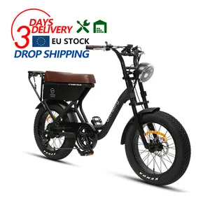 TXED Top sell 48V 250W 7 gears fat electric bicycle bike