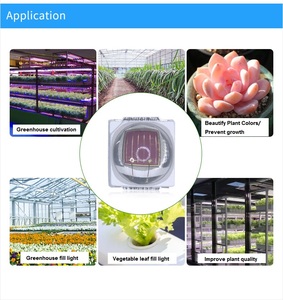 LED SMD Rouge <span class=keywords><strong>3030</strong></span> 0.5W 655-660nm 15-20LM à puce AlGaN pour la croissance des plantes avec service de conception d'éclairage et durée de vie de 50000H - Product Image 6