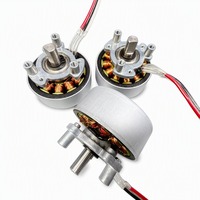 Moteur CC sans balais Hengyu BL3725W 7,4 V 3500 tr/min IP54 35 m.Nm de couple pour pistolet de massage bien-être
