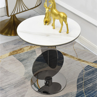 Table basse moderne en acier inoxydable pour salon et table d'appoint pour canapé, montage facile, décorative, durable, pour hôtel