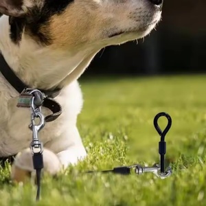 Kit d'<span class=keywords><strong>ancrage</strong></span> au sol en métal GroundSpiral Blade, crochets, piquets anti-vent, pour sécuriser les animaux, les trampolines, les abris d'arbres, les tentes, les auvents, les balançoires - Product Image 4