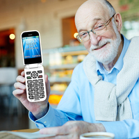Téléphone portable mini à clapet OEM 2,8 pouces, OS Linux, SOS, FM, clavier, prise en charge espagnol/allemand, 4G LTE, carte SIM débloquée