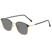 Nouveau design photochromique mode cadre optique lunettes en métal ordinateur bloquant Ray Photogray avec broches