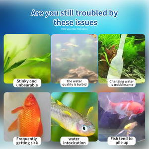 Aquarium étang eau nettoyer Aquaculture soins de santé traitement des maladies du poisson antibactérien infection fongique accessoire de tache blanche - Product Image 3