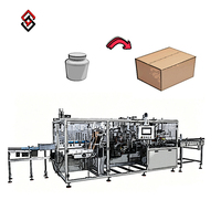 Robotergesteuertes Kartonverpackungssystem mit Endeffektortooling für Lebensmittelqualität, gemischte Produktgrößen, Musterbildung auf Linien