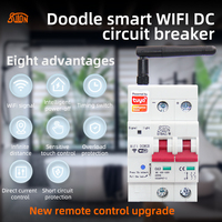 Disjoncteur DC WiFi Tuya Smart 1P 10V-100V, Télécommande Sans Fil avec Alexa, Google Assistant, Yandex Alice pour Maison Intelligente