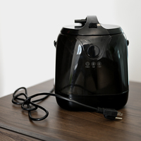 Generatore di Vapore per Sauna Elettrico dal Design Esclusivo Francese con Capacità di 2L 110-220V per Uso Portatile in Appartamento