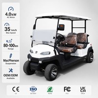 Carrito de Golf Eléctrico Tarion de 4 Plazas, Motor de CA de 4.0kW, Autonomía de 80-100 km, Suspensión MacPherson, Freno de Doble Circuito, OEM ODM, 35 km/h
