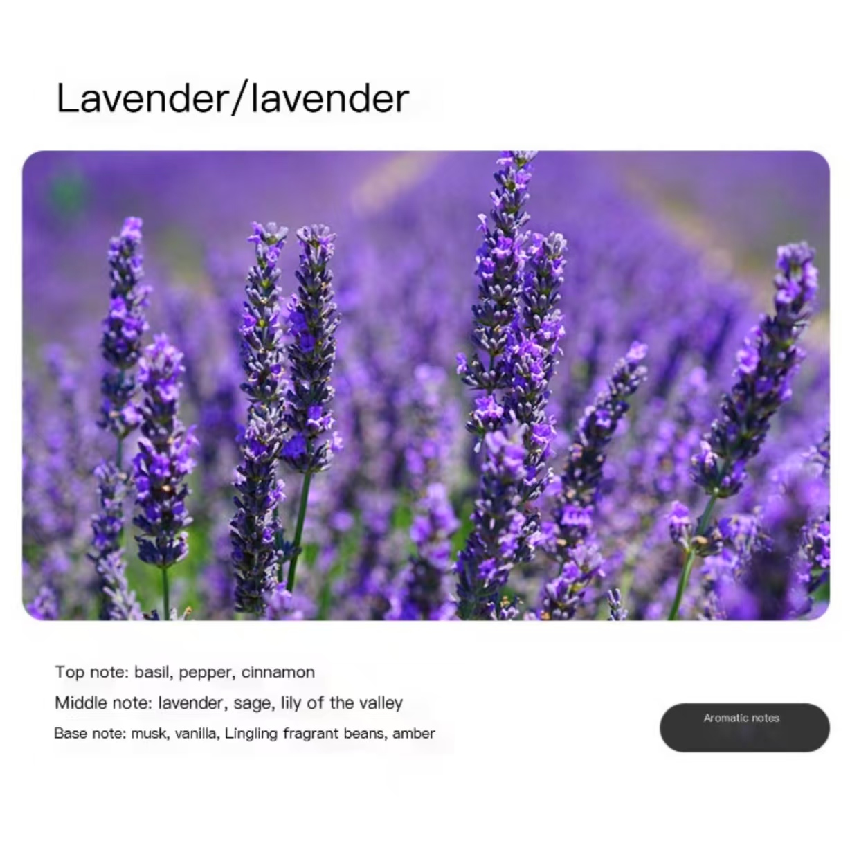 Lavender