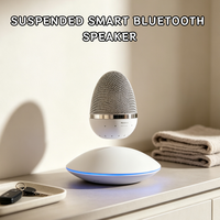 Altavoz Magnético Levitante HCNT con Forma de Huevo para Audio Inalámbrico, Decoración de Escritorio y Hogar, con 1 Año de Garantía
