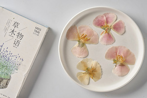 หน้ากาก Godetia Farewell To Spring ทำบัตรเครื่องประดับเรซินพืชธรรมชาติเป็นมิตรกับสิ่งแวดล้อมจริงกดดอกไม้ - Product Image 3