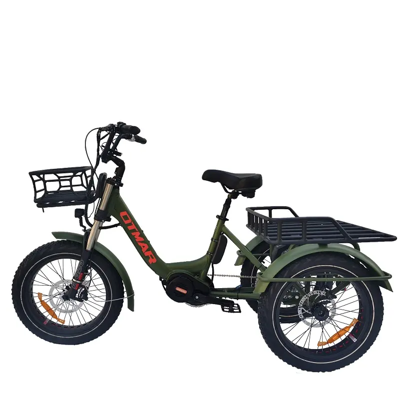 20 वसा टायर बिजली tricycle 48v1000w मध्य ड्राइव मोटर बिजली trike तीन पहिया बिजली कार्गो बाइक डबल बैटरी ई ट्राइक