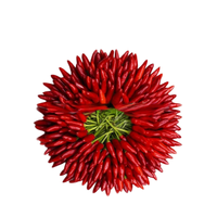 Natuurlijk Chili Fruit Extract Capsaicine 95% 50% 10% Kruidenextract Poeder Voedingskwaliteit Vacuüm verpakt