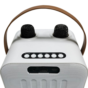 Altoparlante Wireless BT per Karaoke, Microfono Portatile e Altoparlante con Funzione Karaoke, Cassa Bluetooth - Product Image 5