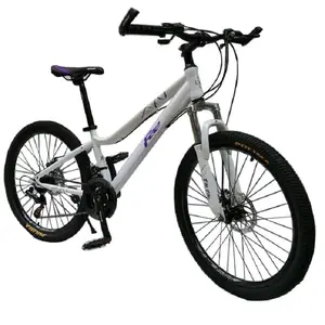 최고 판매 하이 퀄리티 24 인치 도시 자전거 레이디 자전거 21 속도 기어 알루미늄 합금 포크 일반 특징 디스크 브레이크