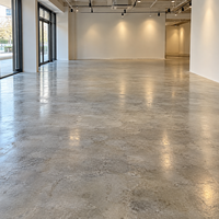 Nouvelle Peinture de Base Imperméable pour Sols, Anti-Alcali, à Prise Rapide, pour Garages et Sous-sols, Vente en Gros OEM, Fourniture Personnalisée
