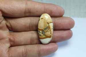 100% ธรรมชาติฟรีขนาดรูป Jasper Cabochon อัญมณีผสมรูปร่างและขนาดสําหรับเครื่องประดับที่ใช้ในราคาขายส่งจํานวนมาก - Product Image 3