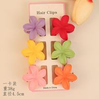 Lot de 6 petites pinces à cheveux mates couleur unie pour femmes et filles, pinces à cheveux transparentes à fleurs hawaïennes, accessoires de mode