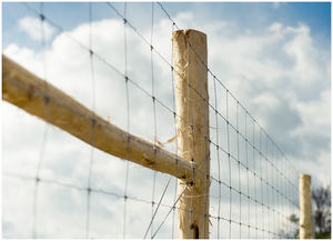 2025, поставка из Китая - Product Image 5