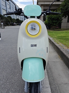 <strong>Electric</strong> Adult <strong>Scooter</strong> Motorcycle <strong>Electric</strong> <strong>Scooter</strong> <strong>Price</strong> <strong>India</strong> with <strong>Price</strong> the <strong>Best</strong> <strong>Electric</strong> Mobility 800w 1000W - Product Image 3