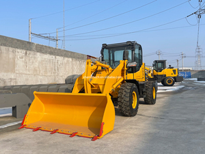 Listo para Trabajar: <span class=keywords><strong>Mini</strong></span> Cargadora de Ruedas Diésel China Económica en Oferta Cargador Frontal Pequeño Profesional, Cargador de Cucharón y <span class=keywords><strong>Mini</strong></span> Cargador Diésel - Product Image 6