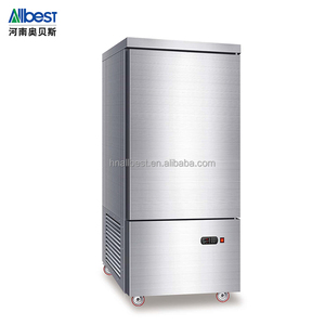 Refrigerador y Congelador Profesional de Acero Inoxidable, Apto para Hoteles y Carnicerías, Modelo Vertical de Baja Temperatura - Product Image 1
