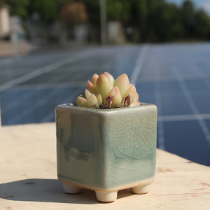 Ceramic Succulent Planter American Style Garden Flower <b>Pots</b> Unique Patterns Wholesale Products Planter <b>square</b> Drainage Hole - Product Image 6